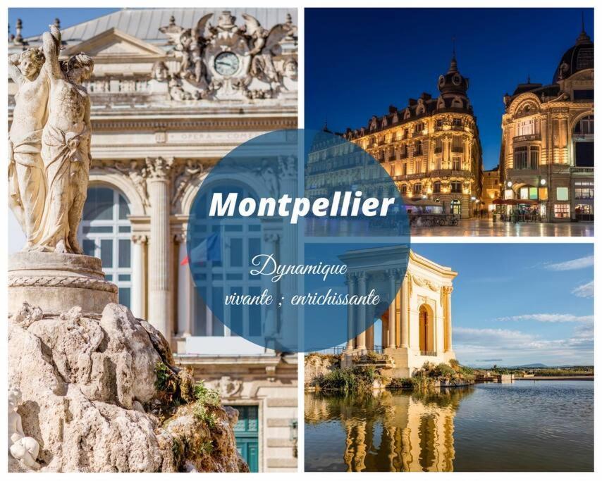 L'Etang De L'Or *Joli T2 * Plage A 10 Min * Proche Montpellier Карнон-Плаж Экстерьер фото